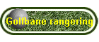 Golfbane rangering